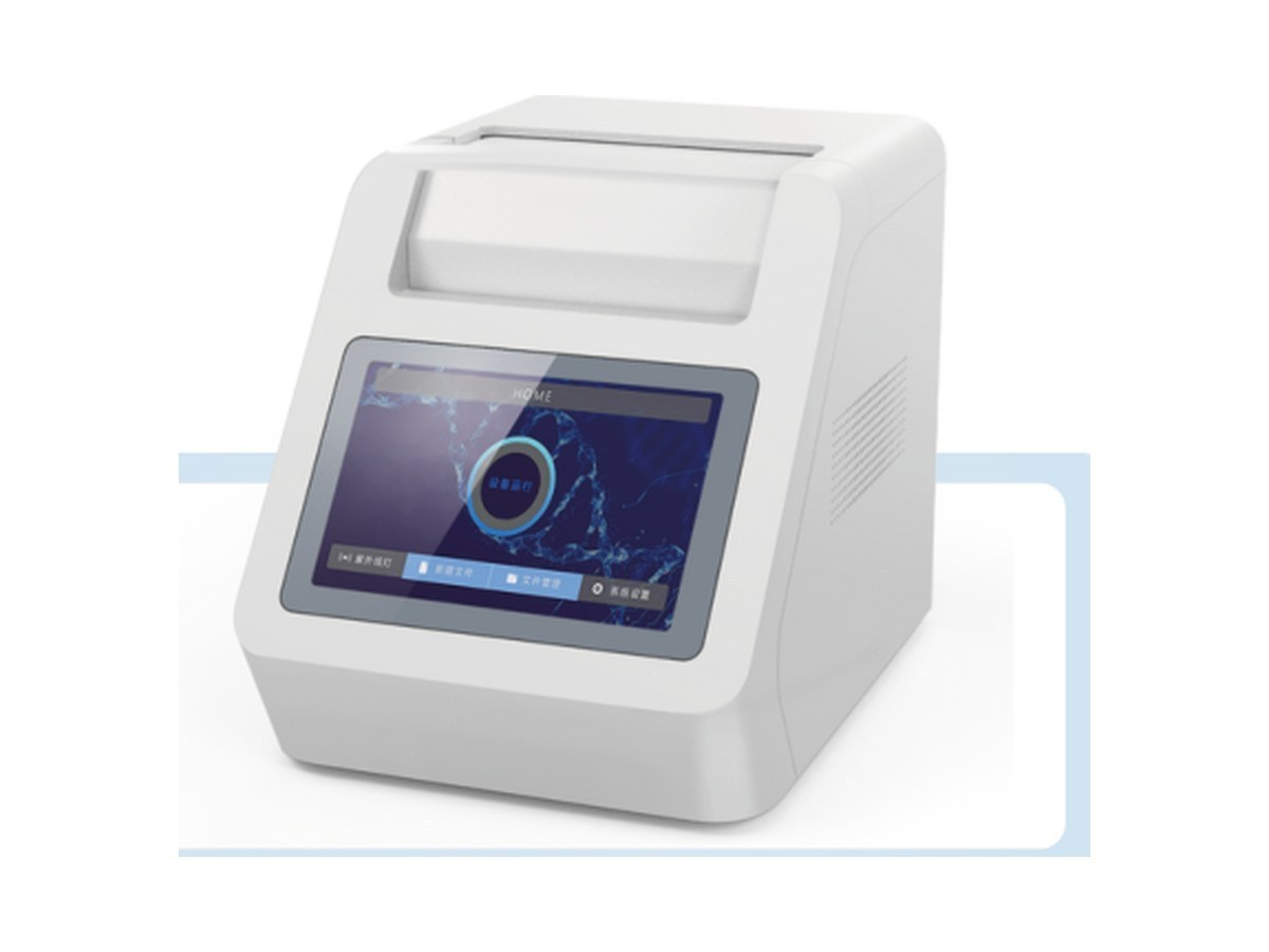 PCR molecular